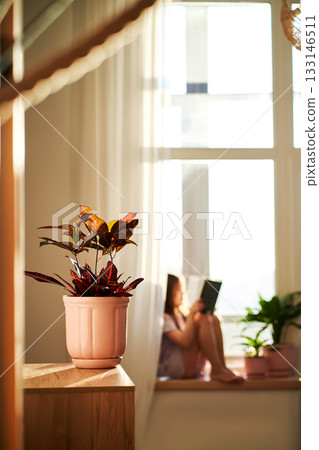 Girl reading by window with houseplant 133146511