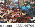 Fallen maple leaves sinking in the water 133146709