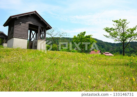 Oishi Auto Camp Village (Niigata Prefecture) Oishi Auto Camp Village (Niigata Prefecture) 133146731