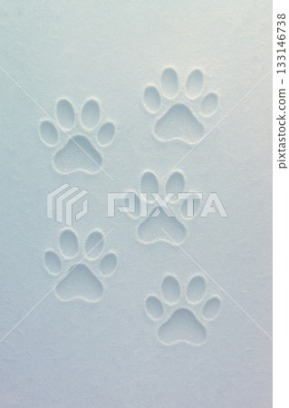 Winter Background with Embossed Paw Prints and Frost Pattern 133146738