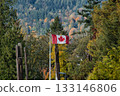 The Canadian flag fluttering in the clear autumn sky. Canada The Canadian flag fluttering in the clear autumn sky. Canada 133146806
