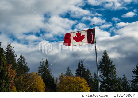 The Canadian flag fluttering in the clear autumn sky. Canada The Canadian flag fluttering in the clear autumn sky. Canada 133146807