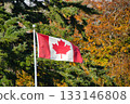 The Canadian flag fluttering in the clear autumn sky. Canada The Canadian flag fluttering in the clear autumn sky. Canada 133146808