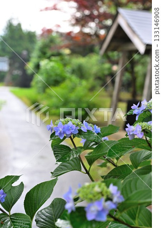 菅穀不動尊菅谷寺（新潟縣） 133146908