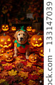 close up of halloween dog 133147039