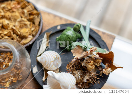 Interior | Green turtle figurine and seashells 133147694