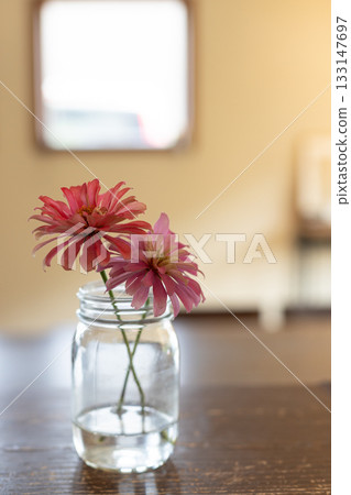Bright pink flowers on the windowsill_Vertical Bright pink flowers on the windowsill_Vertical 133147697
