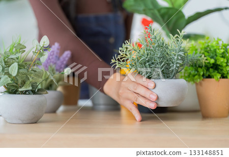 Indoor Gardening. Woman arranging potted plants on table in bright home. Indoor Gardening. Woman arranging potted plants on table in bright home. 133148851