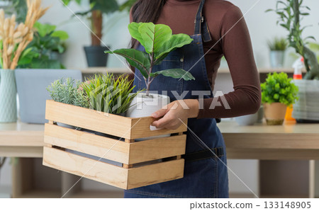 Sustainable Gardening. Woman carrying potted plants in wooden crate for eco-friendly decor. Sustainable Gardening. Woman carrying potted plants in wooden crate for eco-friendly decor. 133148905