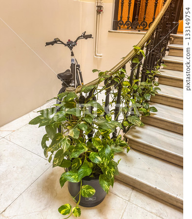 Indoor Bicycle Storage With Large Potted Plant 133149754