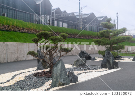 Bonsai tree on the street in the rainy season 133150072