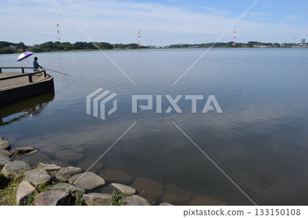 Teganuma Lake in northern Chiba Prefecture Teganuma Lake in northern Chiba Prefecture 133150108