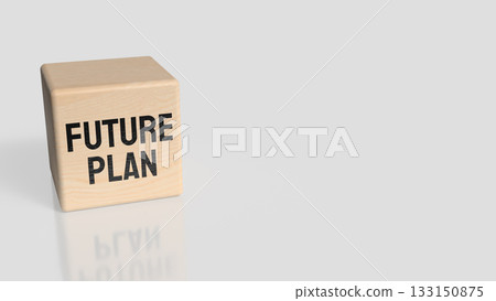 Future Plan Text on Wooden Block with Blurred Background 3d render. 133150875