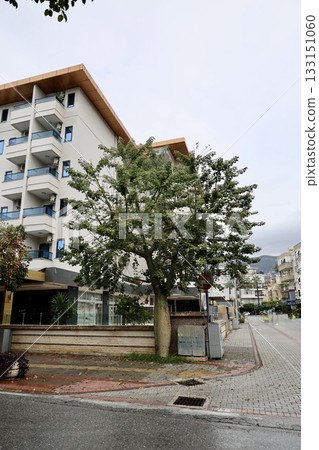 White residential buildings. High quality photo 133151060