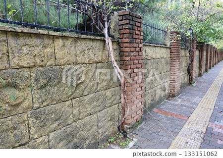 Brick vine wall. High quality photo Brick vine wall. High quality photo 133151062