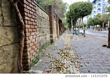 Brick vine wall. High quality photo 133151070