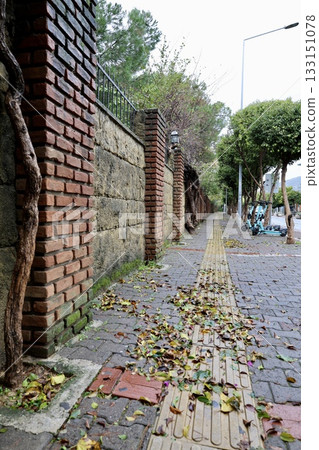 Brick vine wall. High quality photo Brick vine wall. High quality photo 133151078