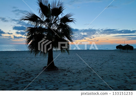 Upward palm view. High quality photo Upward palm view. High quality photo 133151233