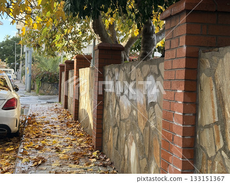 Autumn leaves on the sidewalk fruits. High quality photo 133151367