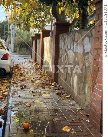 Autumn leaves on the sidewalk fruits. High quality photo Autumn leaves on the sidewalk fruits. High quality photo 133151371