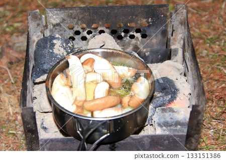 在滋賀縣琵琶湖獨自露營，湖畔綠地，阿吉洛和猛禽 133151386