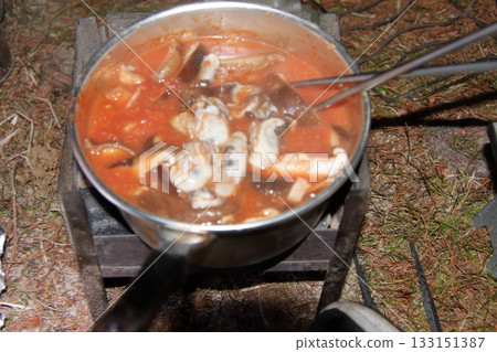 在滋賀縣琵琶湖獨自露營,湖畔綠地,阿吉洛和猛禽 在滋賀縣琵琶湖獨自露營,湖畔綠地,阿吉洛和猛禽 133151387