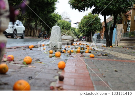 Fallen oranges street. High quality photo Fallen oranges street. High quality photo 133151410