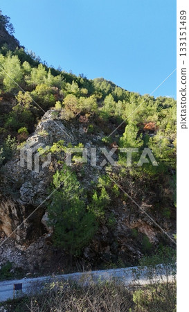 drone flight mountains coniferous forest clear blue sky. High quality photo drone flight mountains coniferous forest clear blue sky. High quality photo 133151489