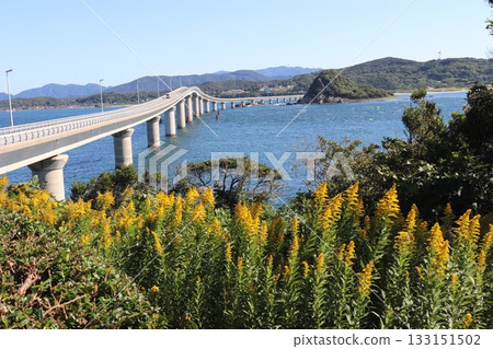 山口縣下關市,藍天下的角島大橋 山口縣下關市,藍天下的角島大橋 133151502