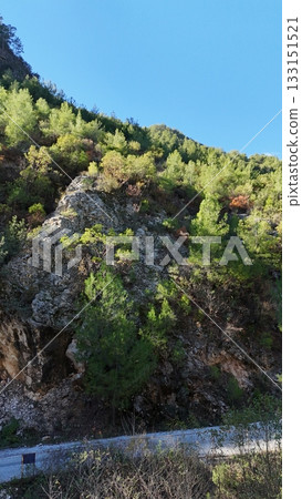 drone flight mountains coniferous forest clear blue sky. High quality photo drone flight mountains coniferous forest clear blue sky. High quality photo 133151521