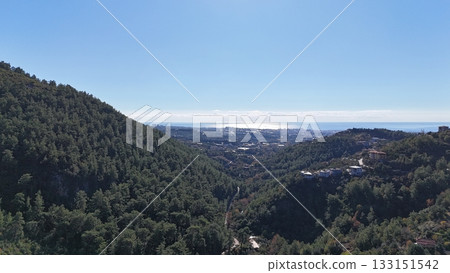 drone flight mountains coniferous forest clear blue sky. High quality photo 133151542
