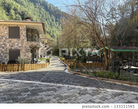 villa houses nature mountains autumn. High quality photo 133151565