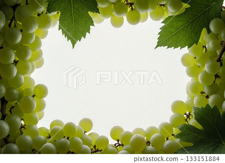 Clusters of green grapes and vibrant leaves create a lovely border, enhancing the blank space in the center. This natural arrangement is perfect for various projects Generative AI 133151884