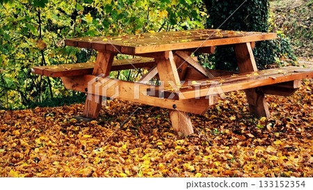Wooden picnic table in autumn park surrounded by fallen yellow leaves Wooden picnic table in autumn park surrounded by fallen yellow leaves 133152354