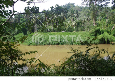 Sri Lanka World Heritage Site Sinharaja Forest Reserve Sri Lanka World Heritage Site Sinharaja Forest Reserve 133152409
