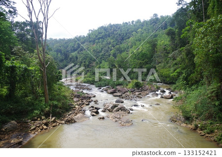 Sri Lanka World Heritage Site Sinharaja Forest Reserve Sri Lanka World Heritage Site Sinharaja Forest Reserve 133152421