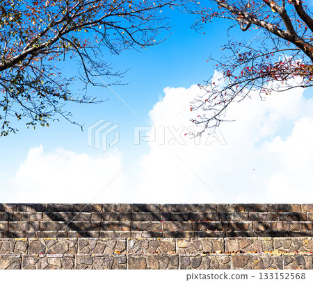 Autumn scenery with blue sky, fallen cherry trees and stairs 133152568