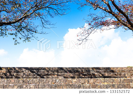 Autumn scenery with blue sky, fallen cherry trees and stairs Autumn scenery with blue sky, fallen cherry trees and stairs 133152572