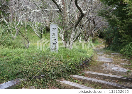 The beginning of autumn foliage at Daimonji Temple in Osaka 133152635