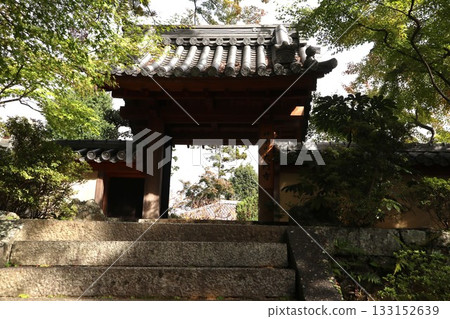 大阪大文字寺秋葉初現 133152639