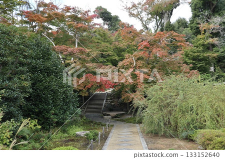 The beginning of autumn foliage at Daimonji Temple in Osaka 133152640