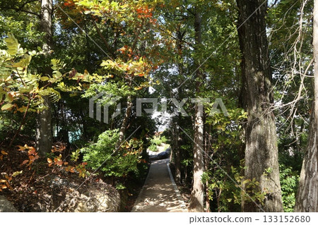 The beginning of autumn foliage at Daimonji Temple in Osaka 133152680