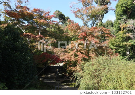 The beginning of autumn foliage at Daimonji Temple in Osaka The beginning of autumn foliage at Daimonji Temple in Osaka 133152701