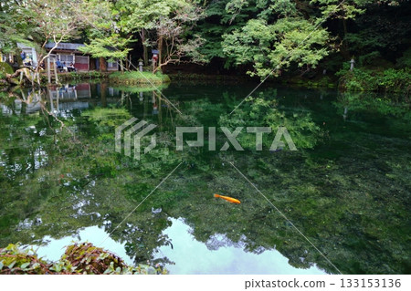 Sano Benten Pond, filled with crystal clear water Sano Benten Pond, filled with crystal clear water 133153136