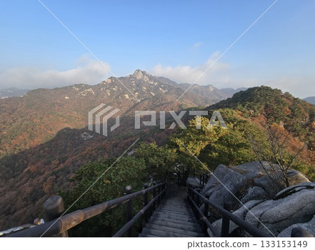 autumn landscape with a tree 133153149