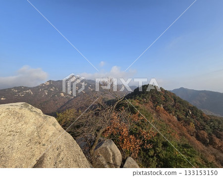 autumn landscape with a tree autumn landscape with a tree 133153150