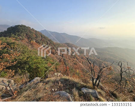autumn landscape with a tree autumn landscape with a tree 133153151
