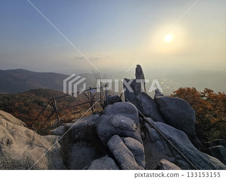 autumn landscape with a tree autumn landscape with a tree 133153155