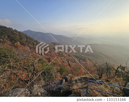 autumn landscape with a tree 133153166