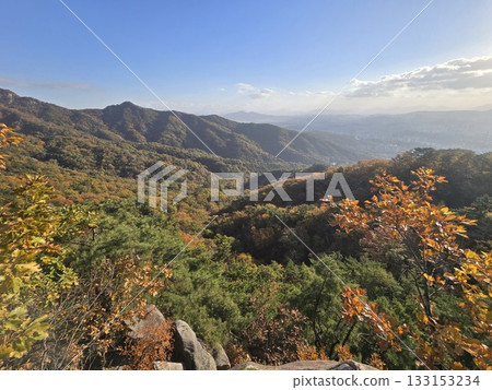 autumn landscape with a tree 133153234